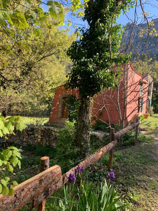 Villa Bergerie de charme à Moustiers Esterno foto