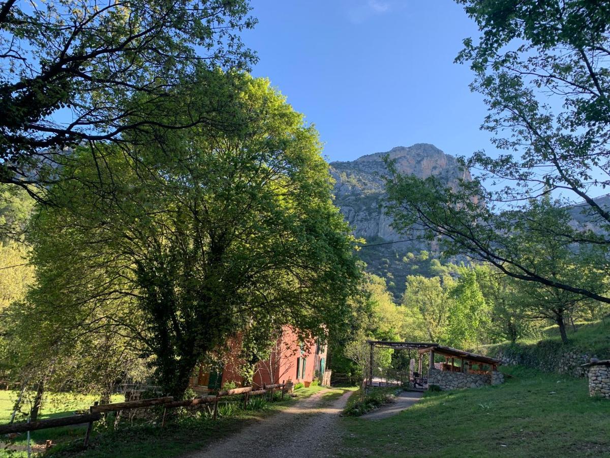 Villa Bergerie de charme à Moustiers Esterno foto