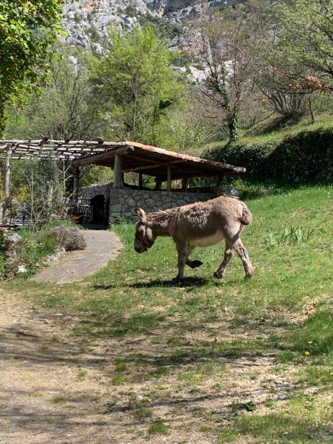Villa Bergerie de charme à Moustiers Esterno foto